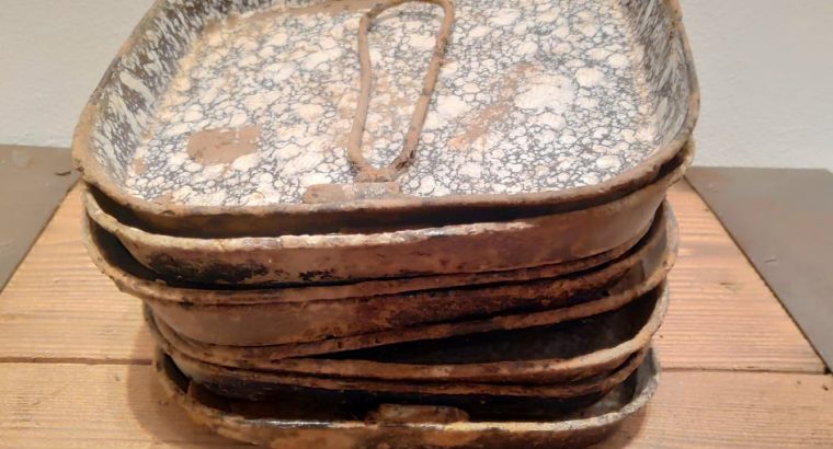 Avstroorski krožniki